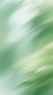 歐氣爆表！抽來的糙漢老公是真大佬